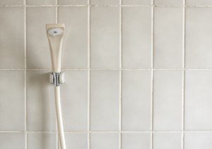 とっても簡単に壁紙のカビを取る方法とは?