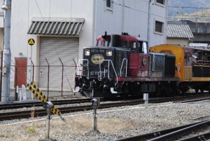 嵐山のトロッコで楽しむ紅葉のライトアップ情報