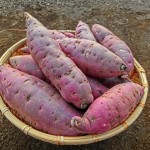 さつまいもで出来るダイエットのやり方って？そのメリットとは？
