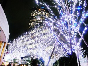 今年は六本木のイルミネーションで素敵な夜のデートを楽しもう