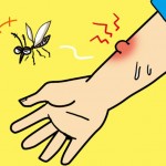 虫刺され跡が治らない｜どうしたら治るのでしょう？もう消えないの？