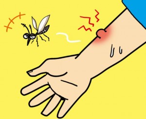 虫刺され跡が治らない｜どうしたら治るのでしょう？もう消えないの？