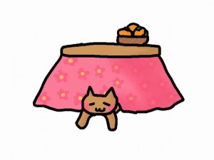 こたつ布団の洗濯の方法について｜洗剤やコースはどうすれば良いの？