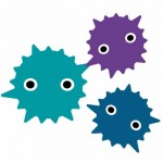 畳にカビが生えた場合の掃除ってどのようにしたらよいのでしょう?
