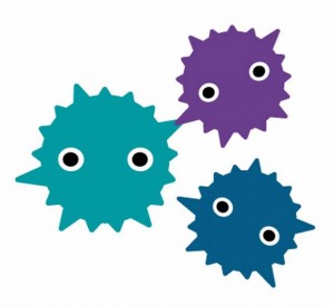 畳にカビが生えた場合の掃除ってどのようにしたらよいのでしょう？