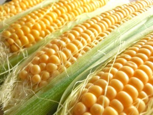 とうもろこしの茹で方なんですがレンジでチンする方法はどうやるの？