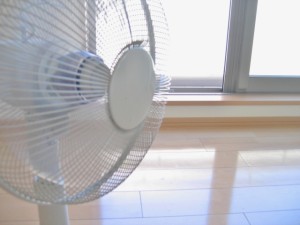 サーキュレーターと扇風機の違いは何ですか？