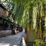 上賀茂神社と下鴨神社の違いってなに?参拝順ならどっちが先なの?