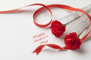 母の日にもらったカーネーションの鉢植えの育て方がよくわからない