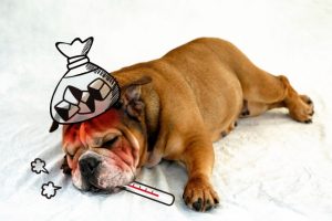 インフルエンザになると筋肉痛になるのはなぜなの？運動してないに。。。