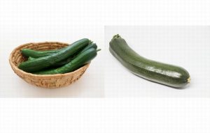 ズッキーニときゅうりの違いはなんですか？見た目？だけじゃない？