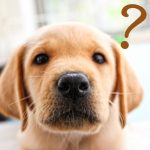 サンクコストの意味ってなに?その効果とはなに?