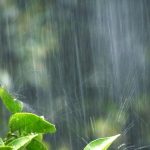 長雨の理由ってなに?9月や10月の秋に雨が多い原因は?