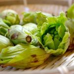 とうのたったの意味や使い方は？失礼になったりセクハラになるの？