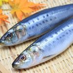 魚の骨の本数は同じなの？何本くらい？多いと食べにくいですよね