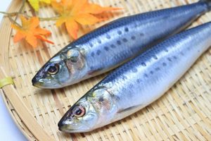 魚の骨の本数は同じなの？何本くらい？多いと食べにくいですよね