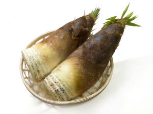 たけのこの根元のイボイボは食べられるの?それとも捨てる?